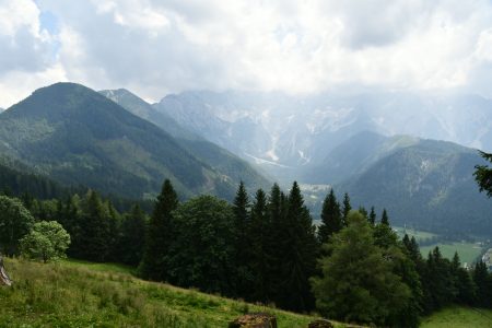 AND_1439